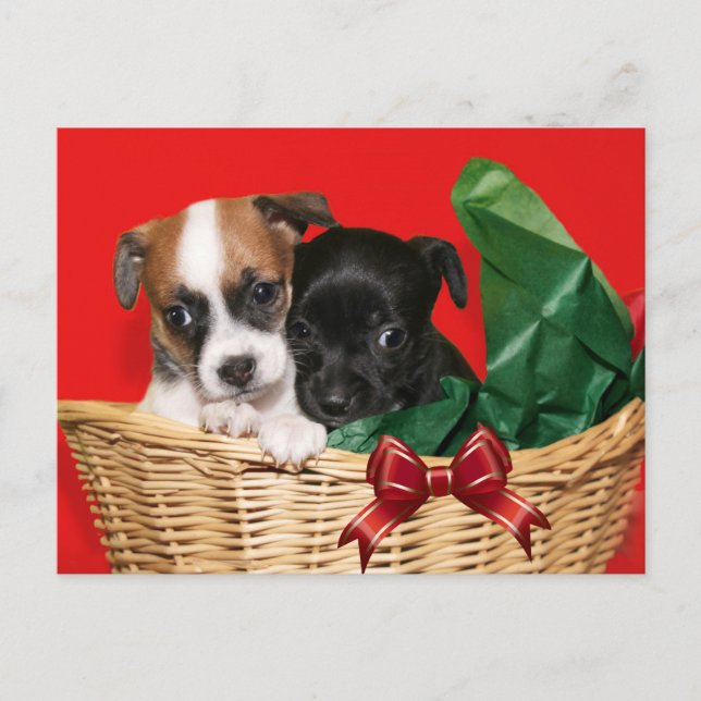 Postal Festiva Navidades de Cachorros (Anverso)