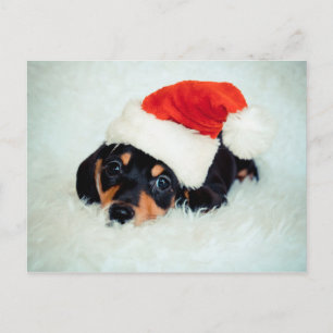 Postal Festiva Navidades de Cachorros de Dachshund