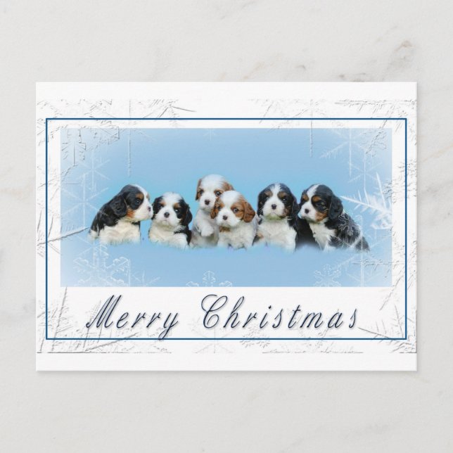 Postal Festiva Navidades de Cavalier King Charles Spaniel (Anverso)