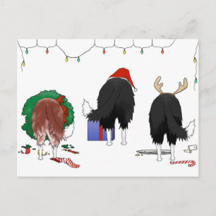 Postal Festiva Navidades de Collie Fronteriza