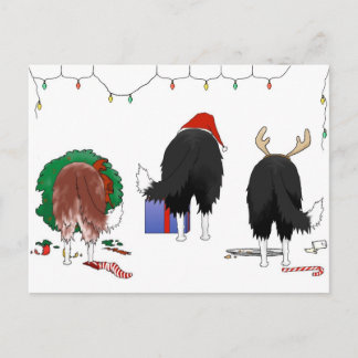 Postal Festiva Navidades de Collie Fronteriza