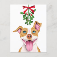 Navidades de Cute Pitbull Dog y Mistletoe