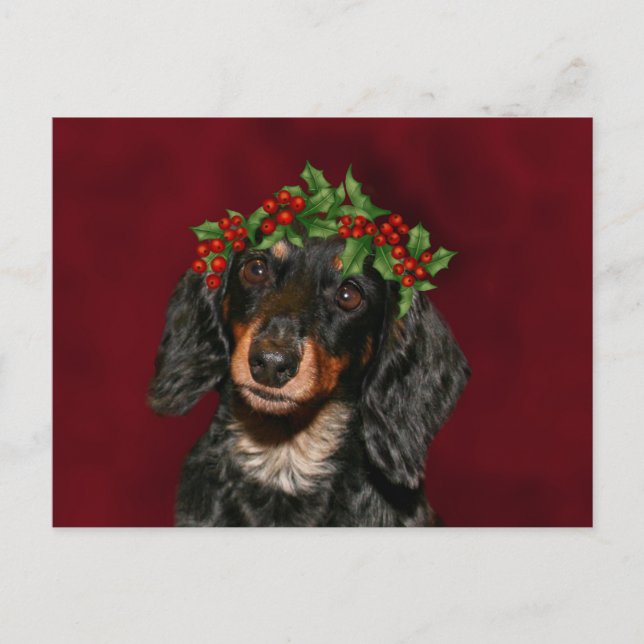 Postal Festiva Navidades de Dachshund (Anverso)