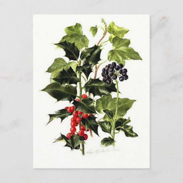 Postal Festiva navidades de diseño de holly and ivy (Anverso)