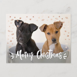 Postal Festiva Navidades de escritura de pincel moderno foto