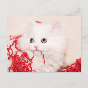 Postal Festiva Navidades de gatitos de Persia