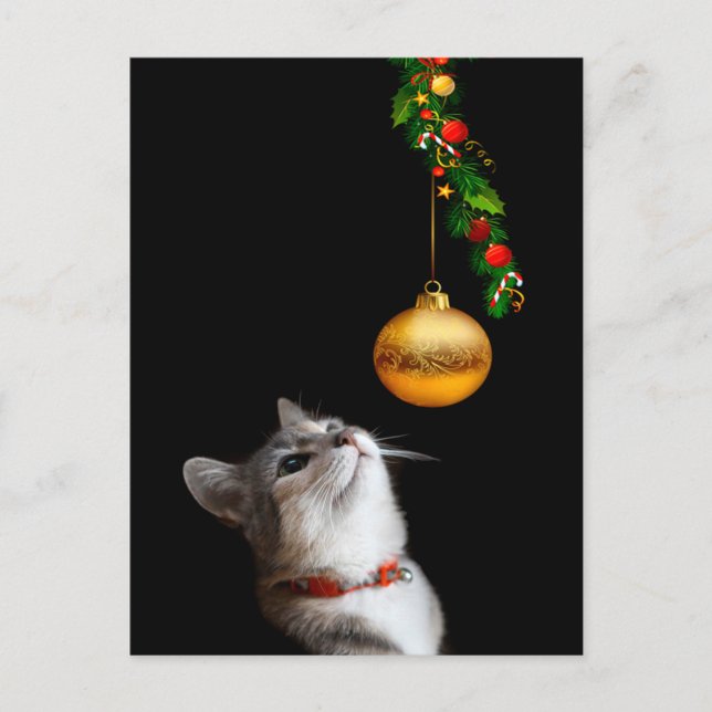 Postal Festiva Navidades de gatitos vacilantes (Anverso)