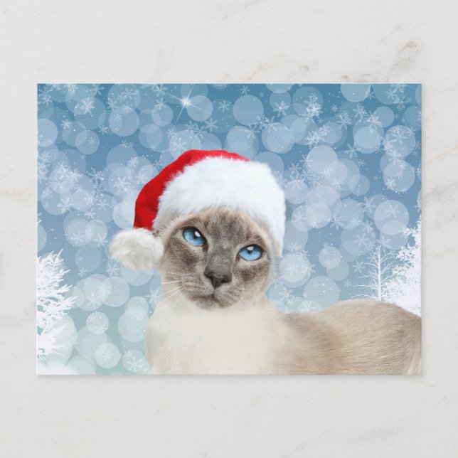 Postal Festiva Navidades de gato de Siamés (Anverso)
