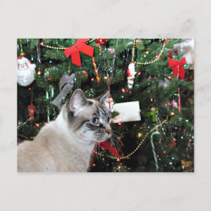 Postal Festiva Navidades de gato de Siamés