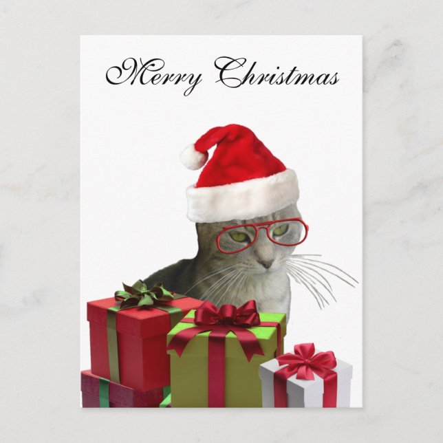 Postal Festiva Navidades de gatos de moda de Santa Sabia (Anverso)