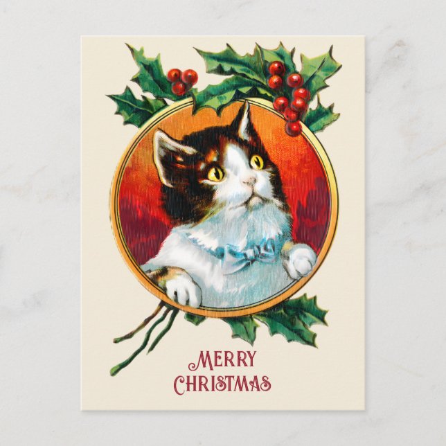 Postal Festiva Navidades de gatos lindos de la época (Anverso)