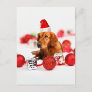 Postal Festiva Navidades de Golden Retriever Dog W Red Santa Hat