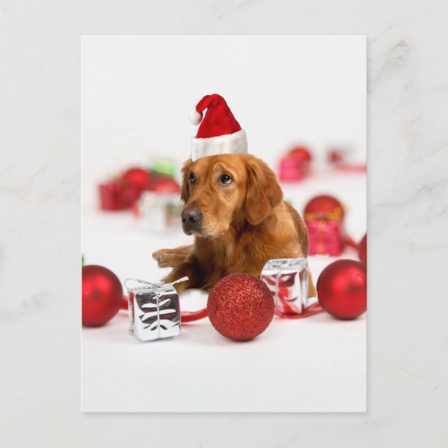 Postal Festiva Navidades de Golden Retriever Dog W Red Santa Hat (Anverso)