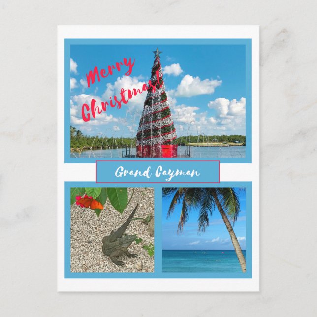 Postal Festiva Navidades de Gran Caimán (Anverso)
