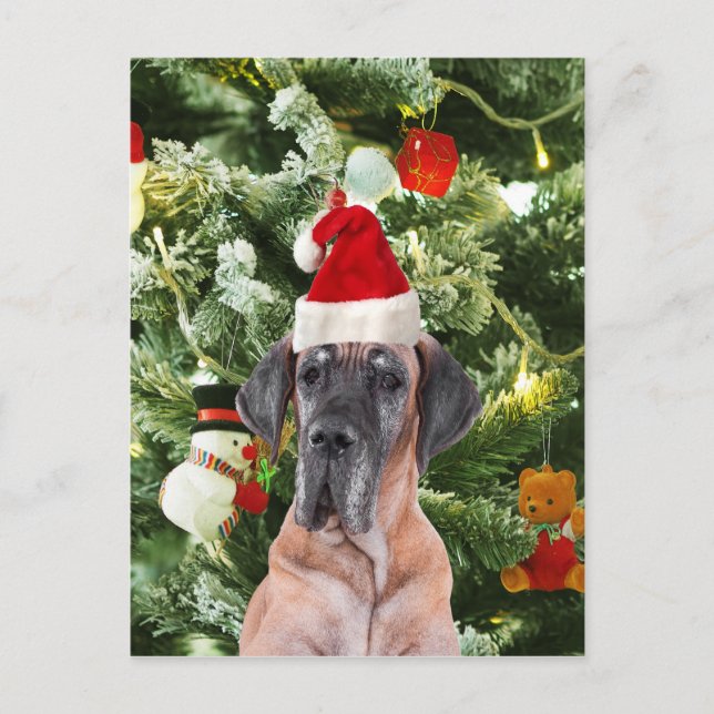 Postal Festiva Navidades de Great Dane (Anverso)