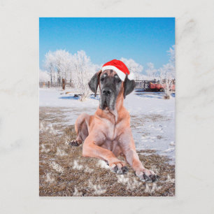 Postal Festiva Navidades de Great Dane