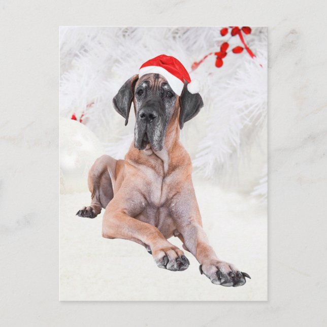 Postal Festiva Navidades de Great Dane (Anverso)