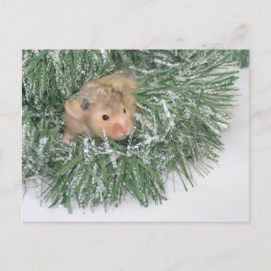 Postal Festiva Navidades de Hamster