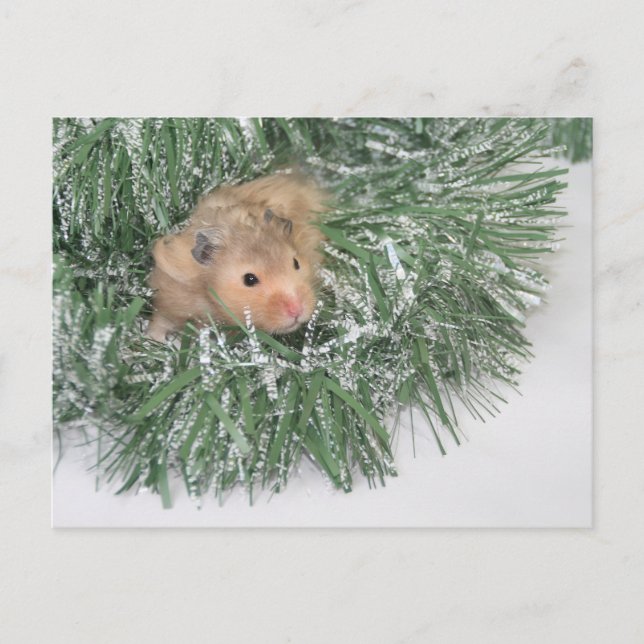 Postal Festiva Navidades de Hamster (Anverso)