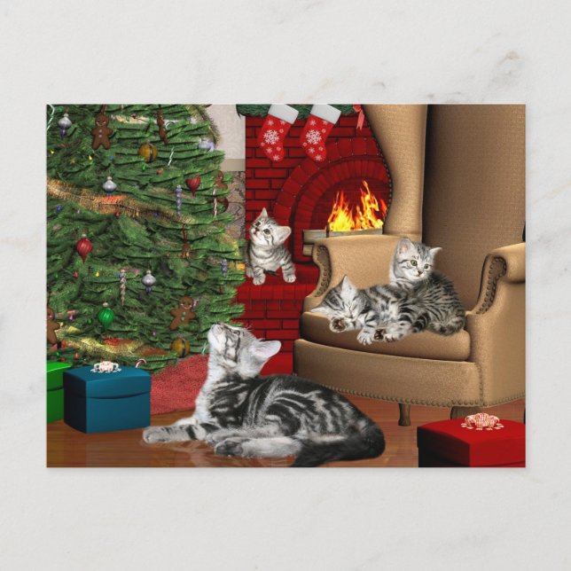 Postal Festiva Navidades de la familia Tabby (Anverso)