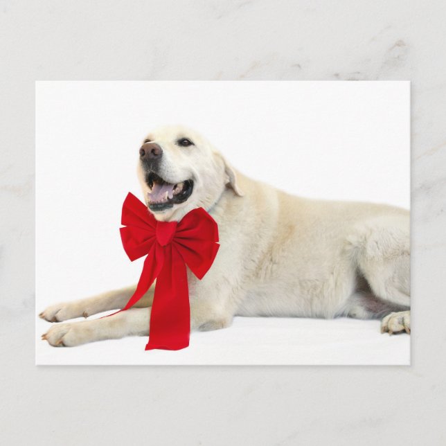 Postal Festiva navidades de laboratorio amarillos (Anverso)