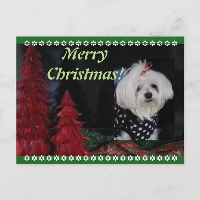 Postal Festiva Navidades de Malta (Anverso)