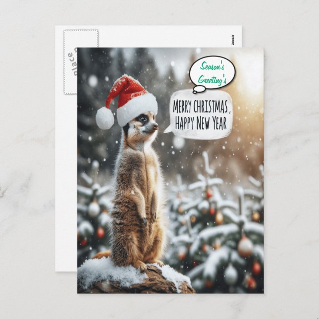Postal Festiva Navidades de Meerkat (Anverso / Reverso)