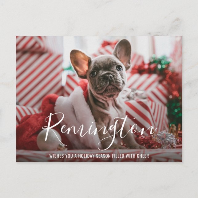Postal Festiva Navidades de perros simples y elegantes (Anverso)