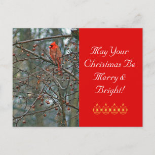 Postal Festiva Navidades de personalizable postales/Cardenal rojo
