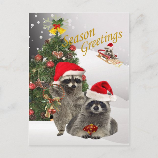 Postal Festiva Navidades De Raccoon En Momento De Diversión (Anverso)