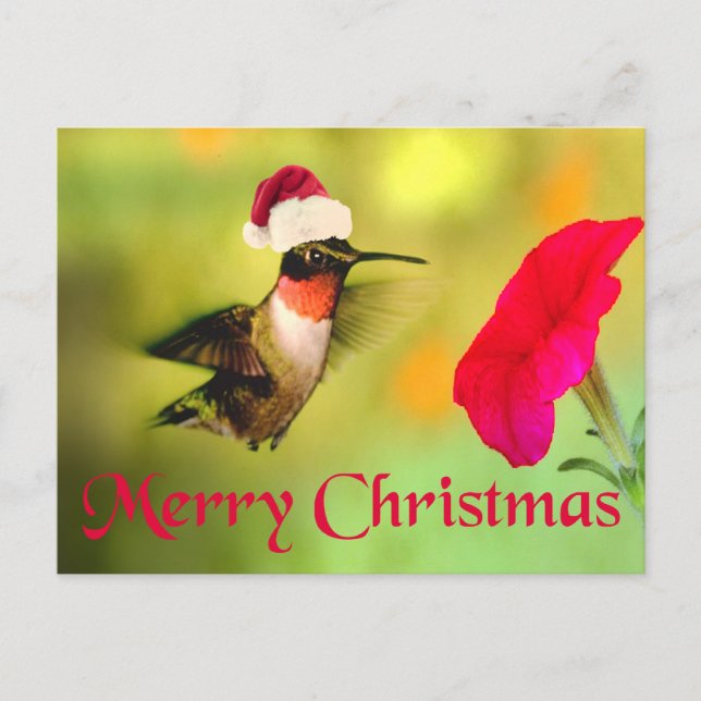 Postal Festiva Navidades de Santa Hat Hummingbird (Anverso)