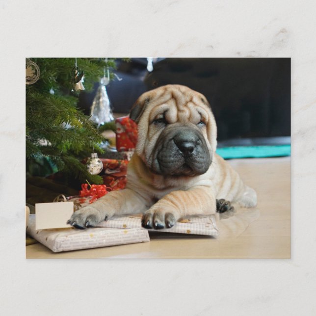 Postal Festiva Navidades de Shar Pei (Anverso)