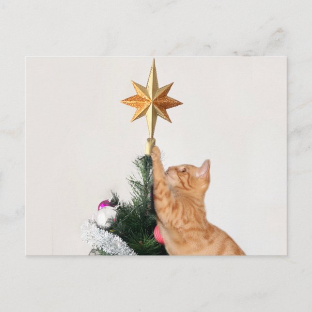 Postal Festiva Navidades de tabby Naranja travieso (Anverso)