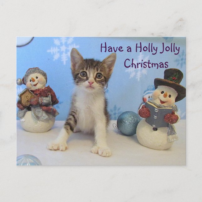 Postal Festiva Navidades de Taromina Holly Jolly - Gato / Gatito (Anverso)