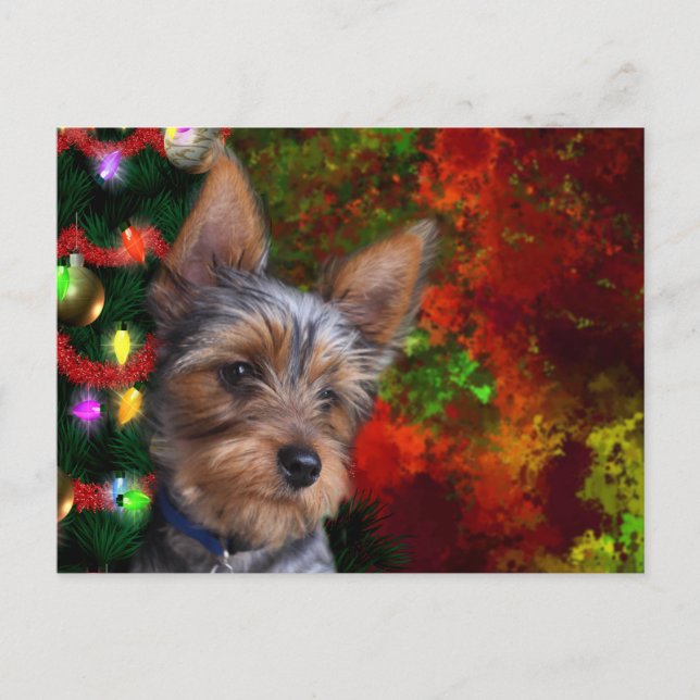 Postal Festiva Navidades de Yorkie (Anverso)