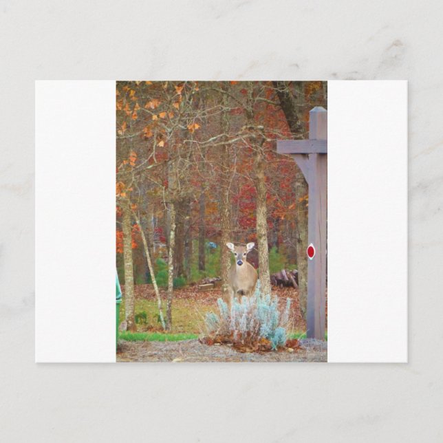 Postal Festiva Navidades Deer (Anverso)