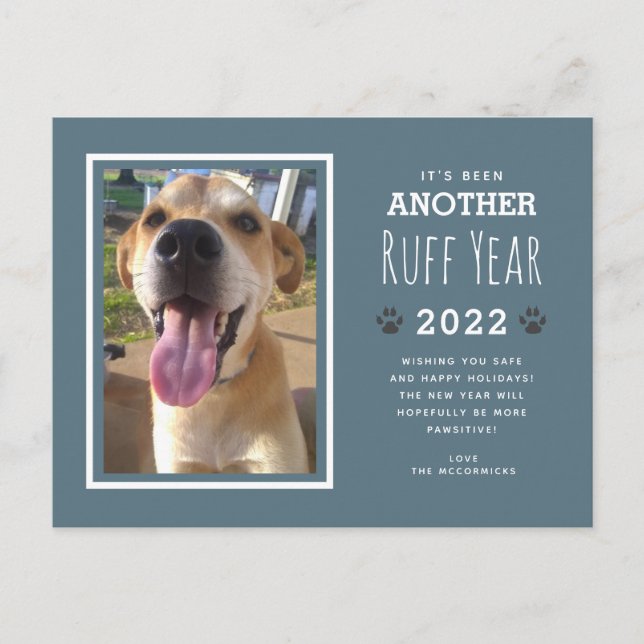 Postal Festiva Navidades del año 2022 de la famosa foto de perro  (Anverso)