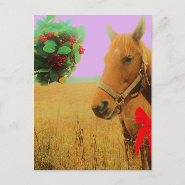 Postal Festiva Navidades del cielo rosa retro Caballo (Anverso)