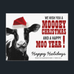Postal Festiva Navidades del país Santa Cow<br><div class="desc">¡Acá hay una linda postal de Navidades navideños con temática de país para los campesinos! Presenta una gran vaca lechera de hostein blanca y negra conocida por producir leche con un sombrero de santa blanda y rojo brillante en la cabeza. Texto rojo al estilo de los países occidentales con dos...</div>