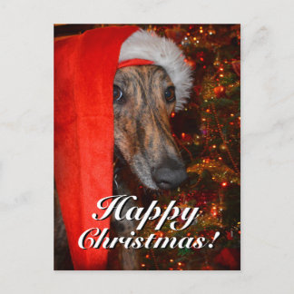 Postal Festiva Navidades divertidos Santa Greyhound Lurcher