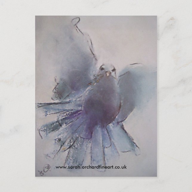 Postal Festiva Navidades Dove - 2010 (Anverso)