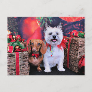 Postal Festiva Navidades - Doxie Butch - Cairn Stella