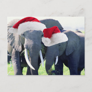 Postal Festiva Navidades elefantes inolvidables