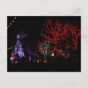 Postal Festiva Navidades en Silver Dollar City