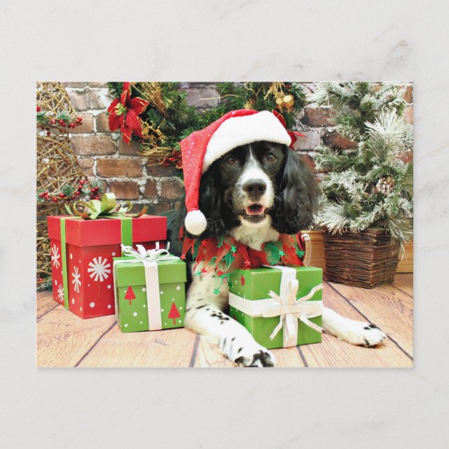 Postal Festiva Navidades - English Springer Spaniel - Lucy (Anverso)