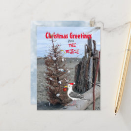 Postal Festiva Navidades Escena De Playa Foto Seagull Driftwood D