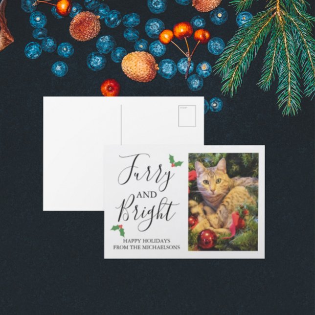 Postal Festiva Navidades fotográficos de Mascota de Furry y Brigh (Subido por el creador)