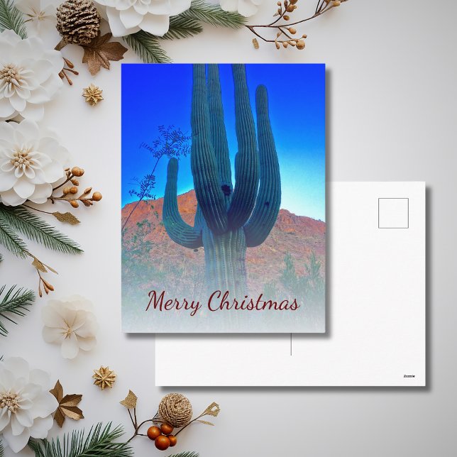 Postal Festiva Navidades fotográficos del suroeste de Cactus en e (Subido por el creador)