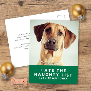 Postal Festiva Navidades fotográficos Mascotas de la lista gracio