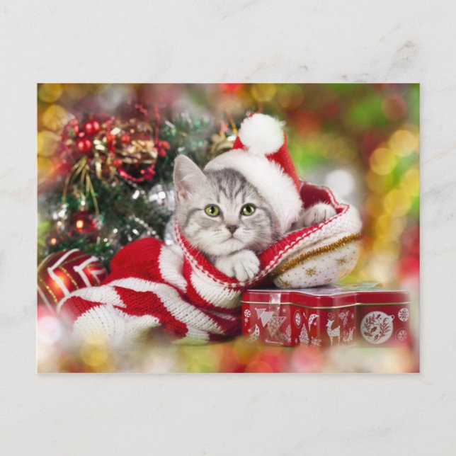 Postal Festiva Navidades gatitos con sombrero de Santa Sombrero (Anverso)